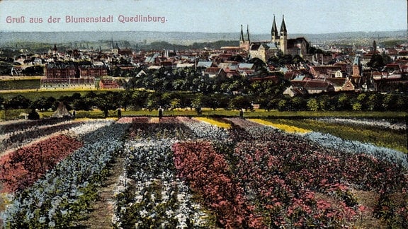 Stadtpanorama der Blumenstadt Quedlinburg