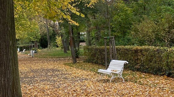 Herbst in Sachsen-Anhalt