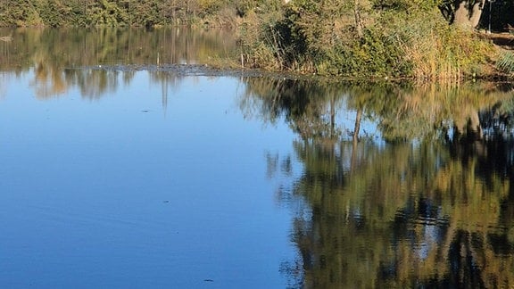 Herbst in Sachsen-Anhalt