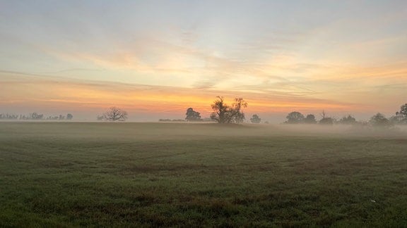 Sonnenaufgang im Herbst über einem Feld