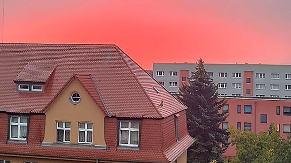 Abendrot am ansonsten grauen Himmel