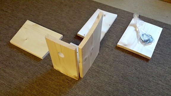 Bausatz Nistkasten: einzelne Bretter liegen auf einem Teppich