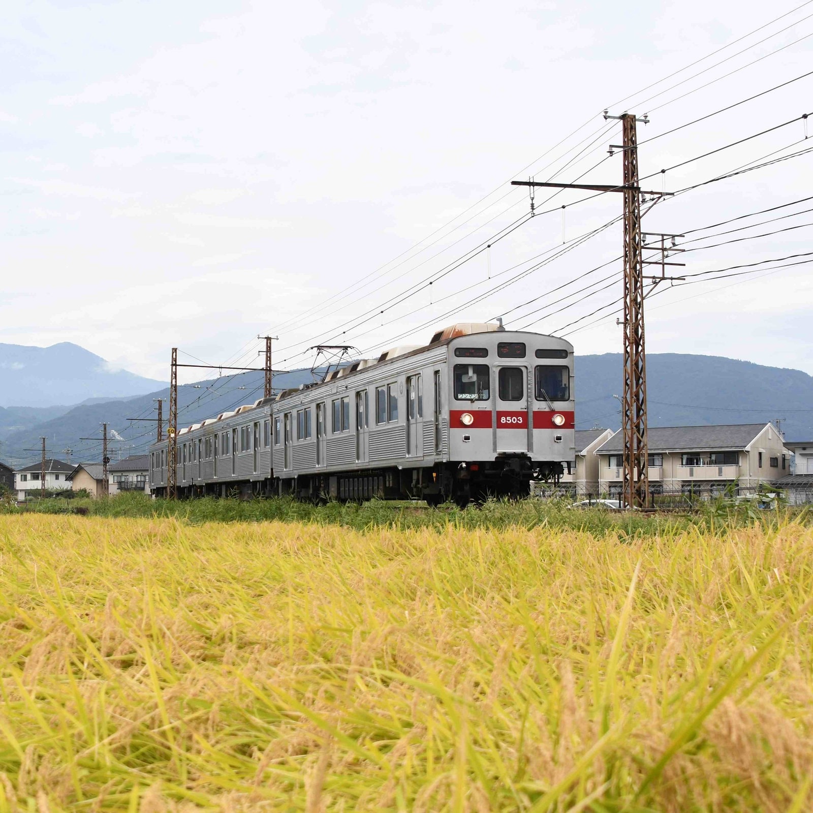 Rasende Züge und Reisfelder - Eisenbahnen in Japan