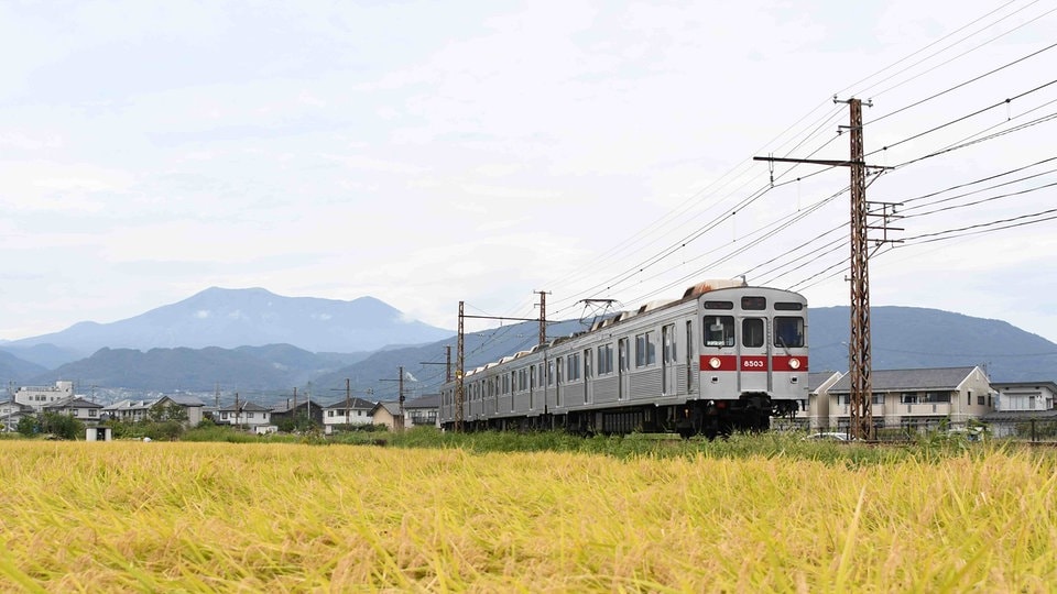 Rasende Züge und Reisfelder Eisenbahnen in Japan MDR.DE