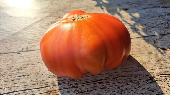 Eine große rote Tomate liegt auf einem Holztisch