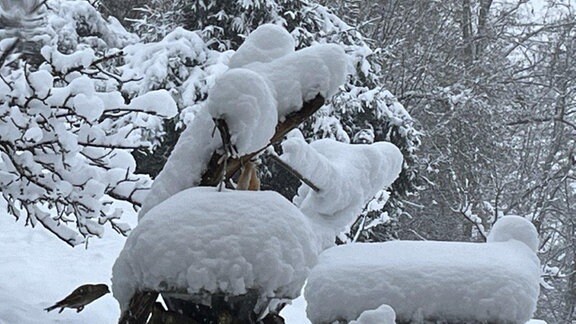 Schneebild von Harald Böhme aus Steinbach