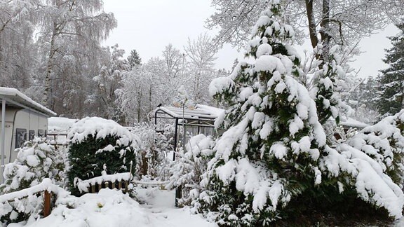 Schneebild von Klaus Fiedler aus Hohenfelden vom Campingplatz in Hohenfelden, knapp 15cm Schnee.