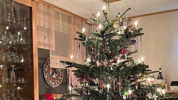 Ein geschmückter Weihnachtsbaum in einem Wohnzimmer