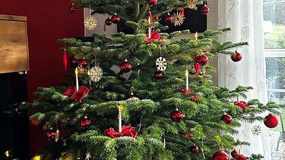 Geschmückter Weihnachtsbaum in einer Wohnung