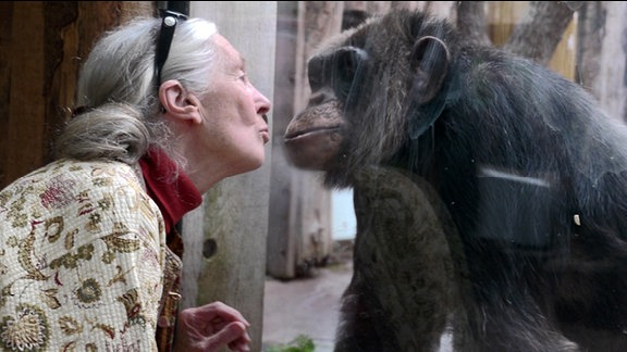 Schimpansen-Forscherin Jane Goodall und Wubbo