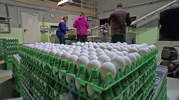 Sortierung und Verpackung von Eiern für Ostern
