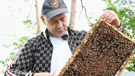 ein Mann mit einer Bienenwabe