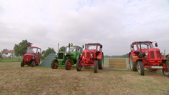 Verschiedene alte Traktoren