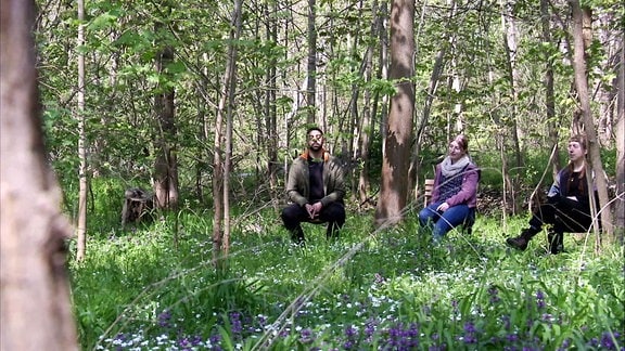 Drei Personen sitzen auf Stühlen im Wald und genießen die Natur.