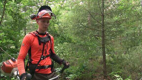 Forstwirt mit Motorsäge im Wald.