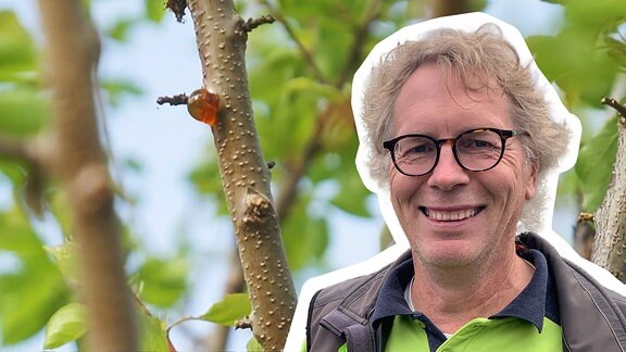 Pflanzen-Doc René Wadas begutachtet einen Baum