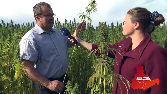 Pauline Vestering auf einem Hanffeld im Gespräch