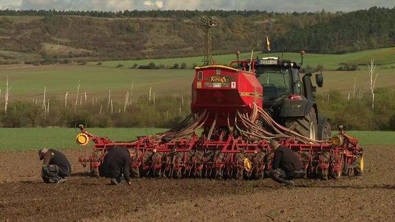 Eine Saatmaschine auf einem Maisfeld