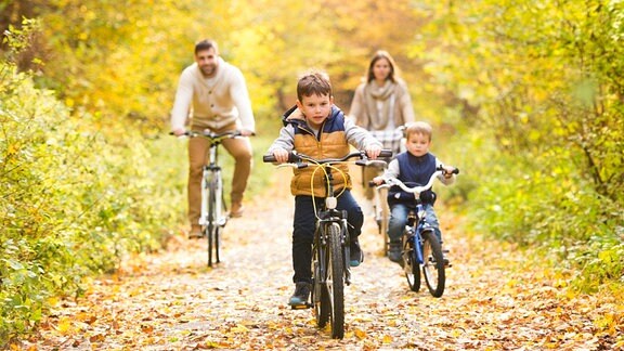 Eine Familie fährt mit den Rädern durch den Wald.