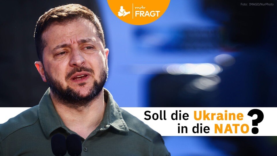 soll-die-ukraine-in-die-nato-was-sagen-sie-mdr-de