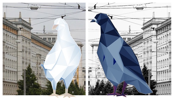 Weiße Taube vor buntem und blaue Taube vor schwarz-weißem Stadtbild.