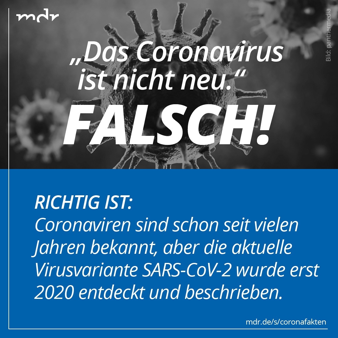 Die Häufigsten Corona Fake News Mdrde