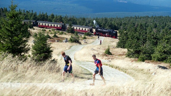 Die Brockenbahn der Harzer Schmalspurbahnen verlässt bei ruhigem, spätsommerlichem Wetter das Gipfelplateau und fährt Richtung Tal, während Wanderer einen alte Patrouillenweg hoch gehen.