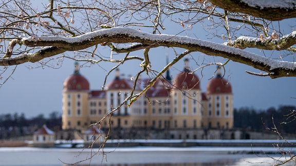 Schnee liegt auf den Bäumen im Moritzburger Schlosspark. Im Hintergrund ist das Schloss zu sehen.