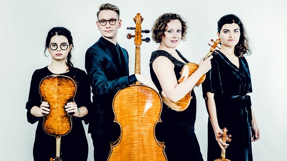Ensemblebild der jungen Musikerinnen und Musiker des Chaos String Quartet