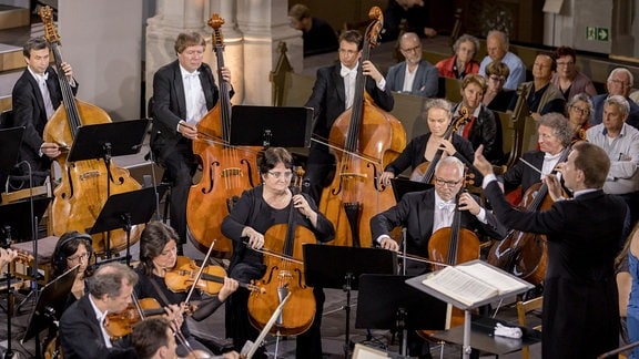 Die Streicher des MDR-Sinfonieorchesters beim Eröffnugskonzert des MDR-Musiksommers 2019 in Görlitz