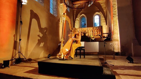 Harfenistin Magdalena Hoffmann spielend an ihrer Harfe, mit ihrem Schatten an der Wand
