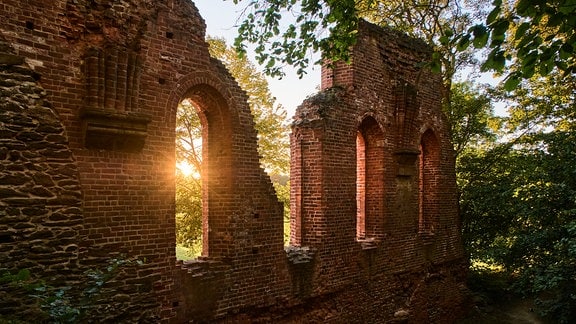 Sonne fällt durch eine Ruine beim "Fest im Park" beim MDR-Musiksommer im Kloster Altzella in Nossen.