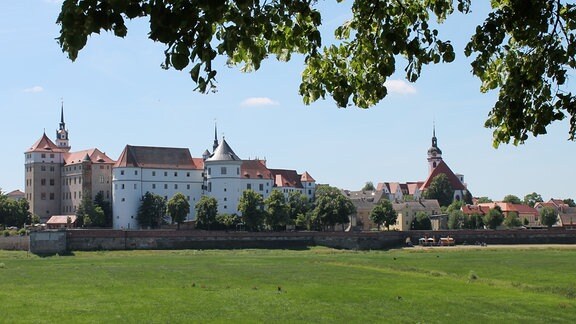 Stadtansicht von Torgau, das hinter einer grünen Wiese aufragt, mit Stadtkirche St. Marien 