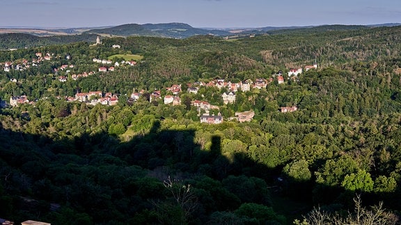Blick von der Wartburg über die umliegenden Hügel und Wälder 