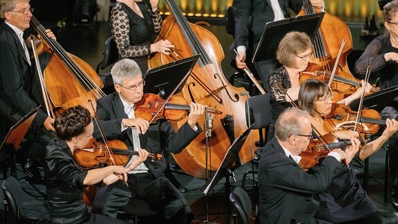 Streicher des MDR-Sinfonieorchesters beim Konzert in Wernigerode
