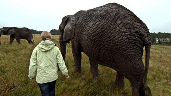 Mädchen neben Elefant