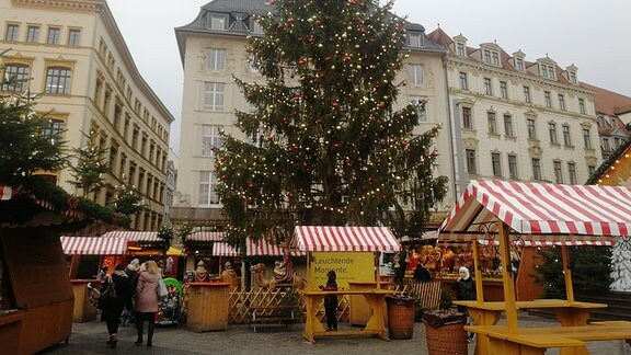 Fertig aufgestellte Weihnachtsbaum auf dem Leipziger Marktplatz