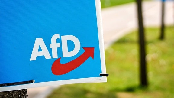 Fotomontage: Ecke eines Wahlplakates der Partei Alternative für Deutschland mit Logo an einem Weg.