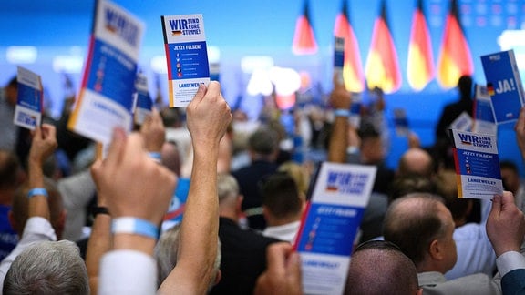 Delegierte halten beim Bundesparteitag der AfD ihre Stimmkarten hoch