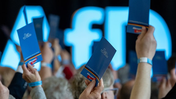 Mehrere Hände halten blaue Zettel mit ""Ja" und AfD-Logo hoch. 