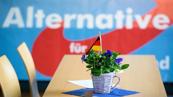 Ein Blumentopf mit einer Deutschlandfahne steht auf einem Tisch