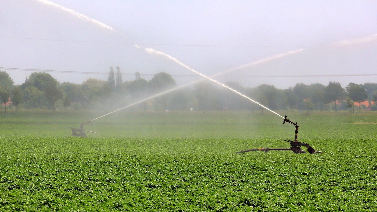 Landwirtschaft Wie Gehen Thuringer Obst Und Gemusebauern Mit Der Trockenheit Um