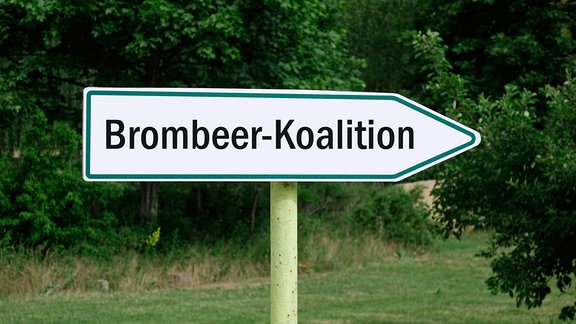 Ein Wegweiser zeigt die Richtung zu einer Brombeer Koalition an.