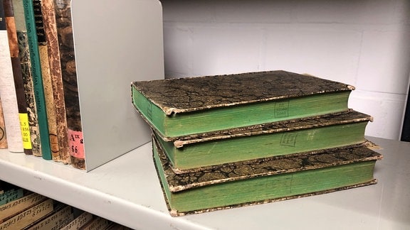 Stapel mit Büchern mit grünem Buchschnitt
