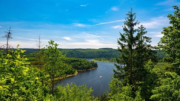 Aussicht auf die Bleilochtalsperre