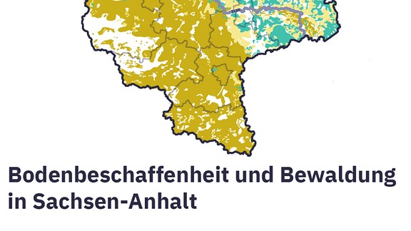 Eine Karte zeigt, dass im Norden und Osten Sachsen-Anhalts der Boden sehr sandig ist. Kiefernwälder wachsen ebenfalls im Nordosten des Landes.