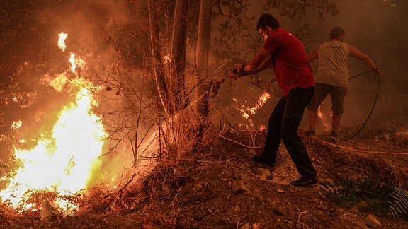 Menschen versuchen, einen Waldbrand zu löschen