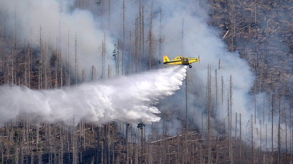 Ein Löschflugzeug beim Waldbrandlöschen.