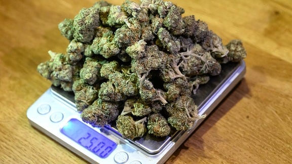 25 Gramm Cannabisblüten liegen auf einer Waage