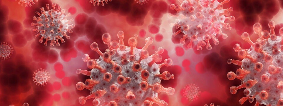 Frankreich Neue Corona Mutation Uber Pcr Tests Nicht Nachweisbar Das Erste